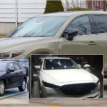 Mazda CX-5 vehicle collage showing selected model versions